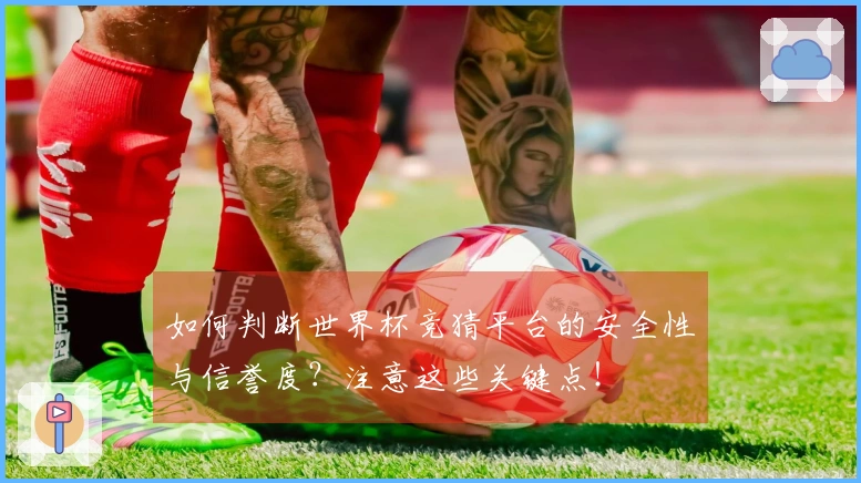 如何判断世界杯竞猜平台的安全性与信誉度？注意这些关键点！